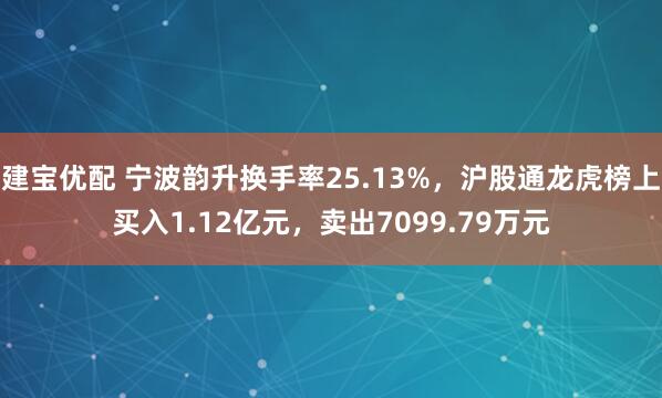建宝优配 宁波韵升换手率25.13%，沪股通龙虎榜上买入1.12亿元，卖出7099.79万元