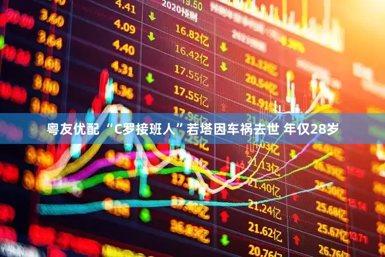 粤友优配 “C罗接班人”若塔因车祸去世 年仅28岁