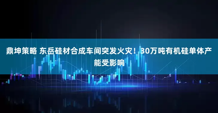 鼎坤策略 东岳硅材合成车间突发火灾！30万吨有机硅单体产能受影响