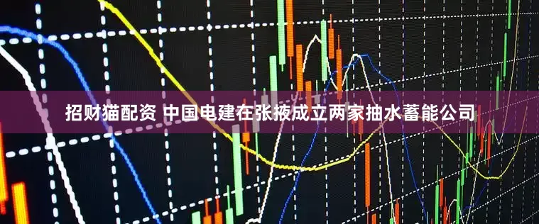 招财猫配资 中国电建在张掖成立两家抽水蓄能公司