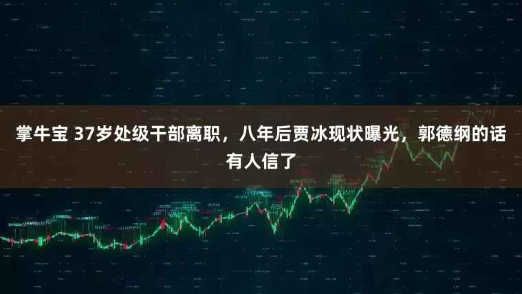 掌牛宝 37岁处级干部离职，八年后贾冰现状曝光，郭德纲的话有人信了