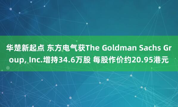 华楚新起点 东方电气获The Goldman Sachs Group, Inc.增持34.6万股 每股作价约20.95港元