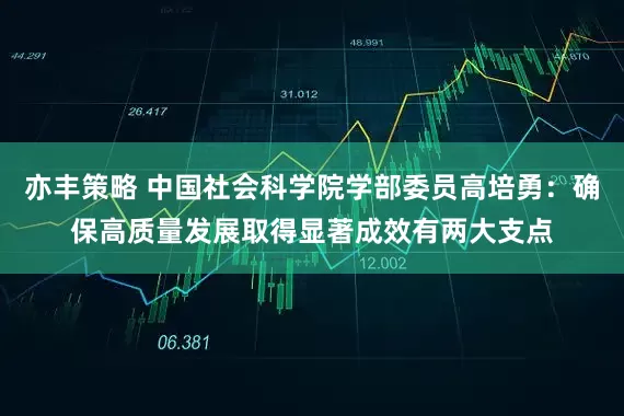 亦丰策略 中国社会科学院学部委员高培勇：确保高质量发展取得显著成效有两大支点